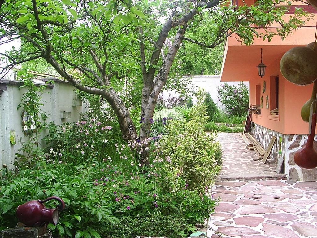 Hadjibulevata Guest House Kovachevtsi Εξωτερικό φωτογραφία