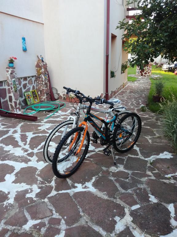 Hadjibulevata Guest House Kovachevtsi Εξωτερικό φωτογραφία